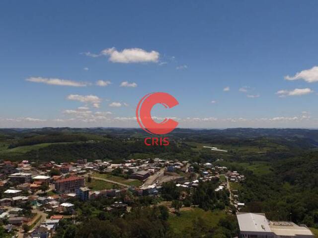 Apartamento para Venda em Bento Gonçalves - 3