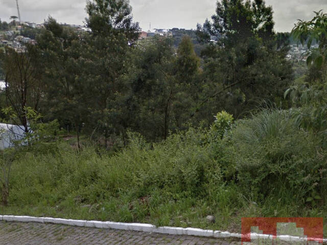 #1412 - Terreno para Venda em Bento Gonçalves - RS - 1