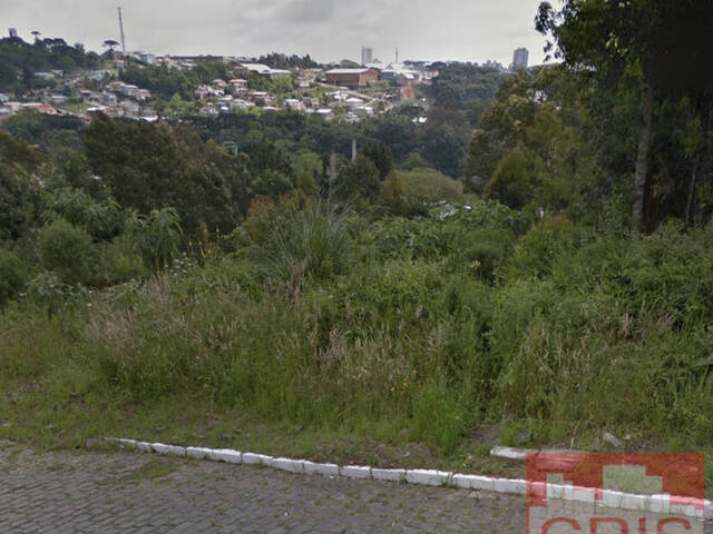 #1412 - Terreno para Venda em Bento Gonçalves - RS - 2