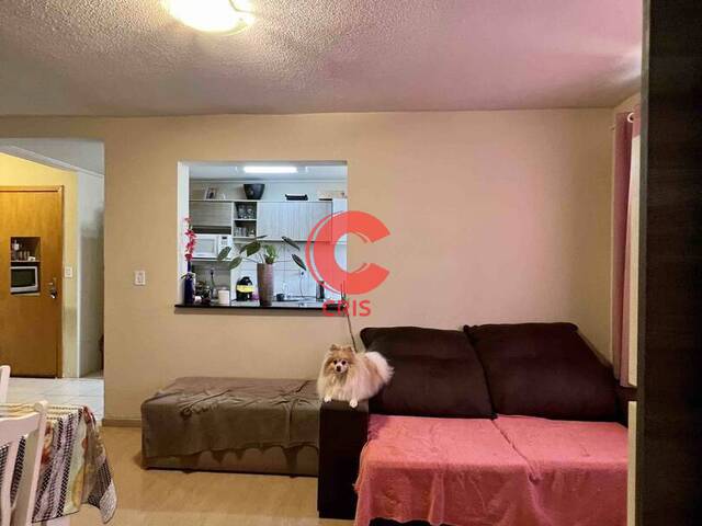 Apartamento para Venda em Bento Gonçalves - 4