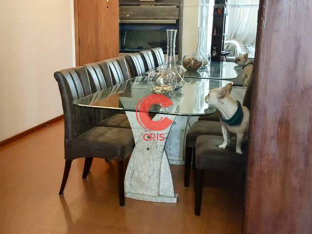 #7202 - Apartamento para Venda em Bento Gonçalves - RS