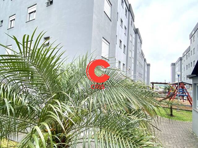 #2437 - Apartamento para Venda em Bento Gonçalves - RS - 2