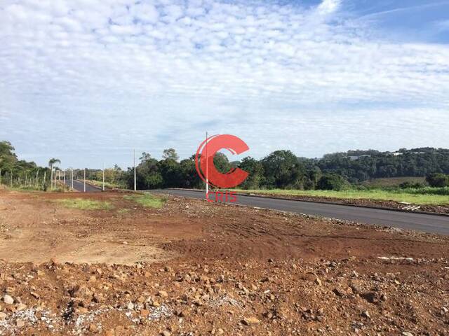 Terreno para Venda em Bento Gonçalves - 5
