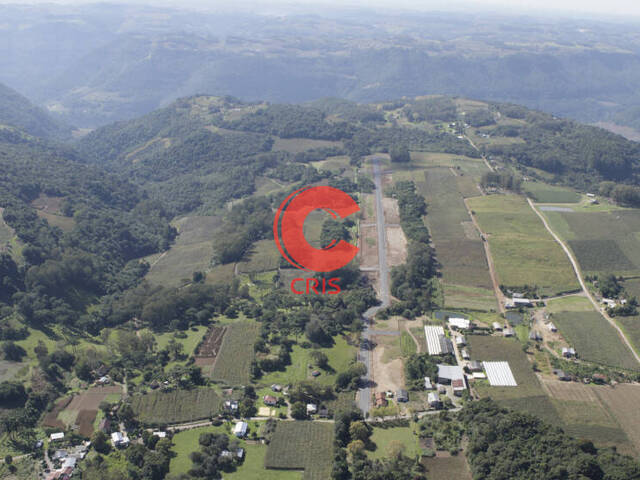 Terreno para Venda em Bento Gonçalves - 4