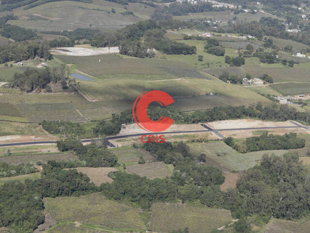 Terreno para Venda em Bento Gonçalves - 4